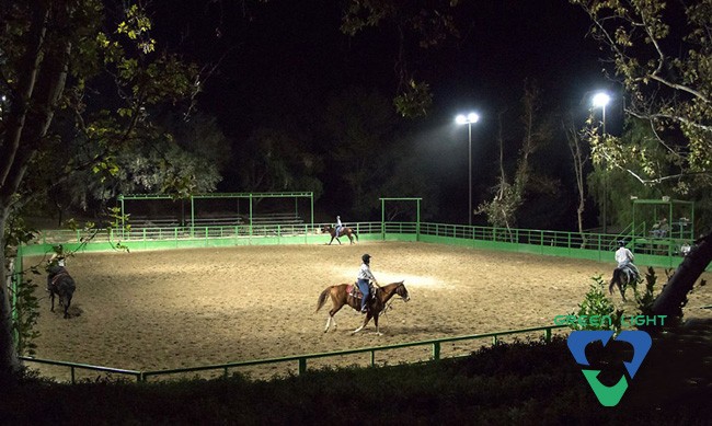 Horse arena lights 2