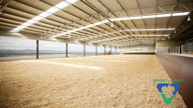 Horse arena lights 4