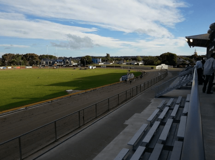 Greyhound Racing lighting