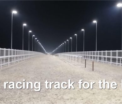 Qatar racing track field light for horse Racing track light