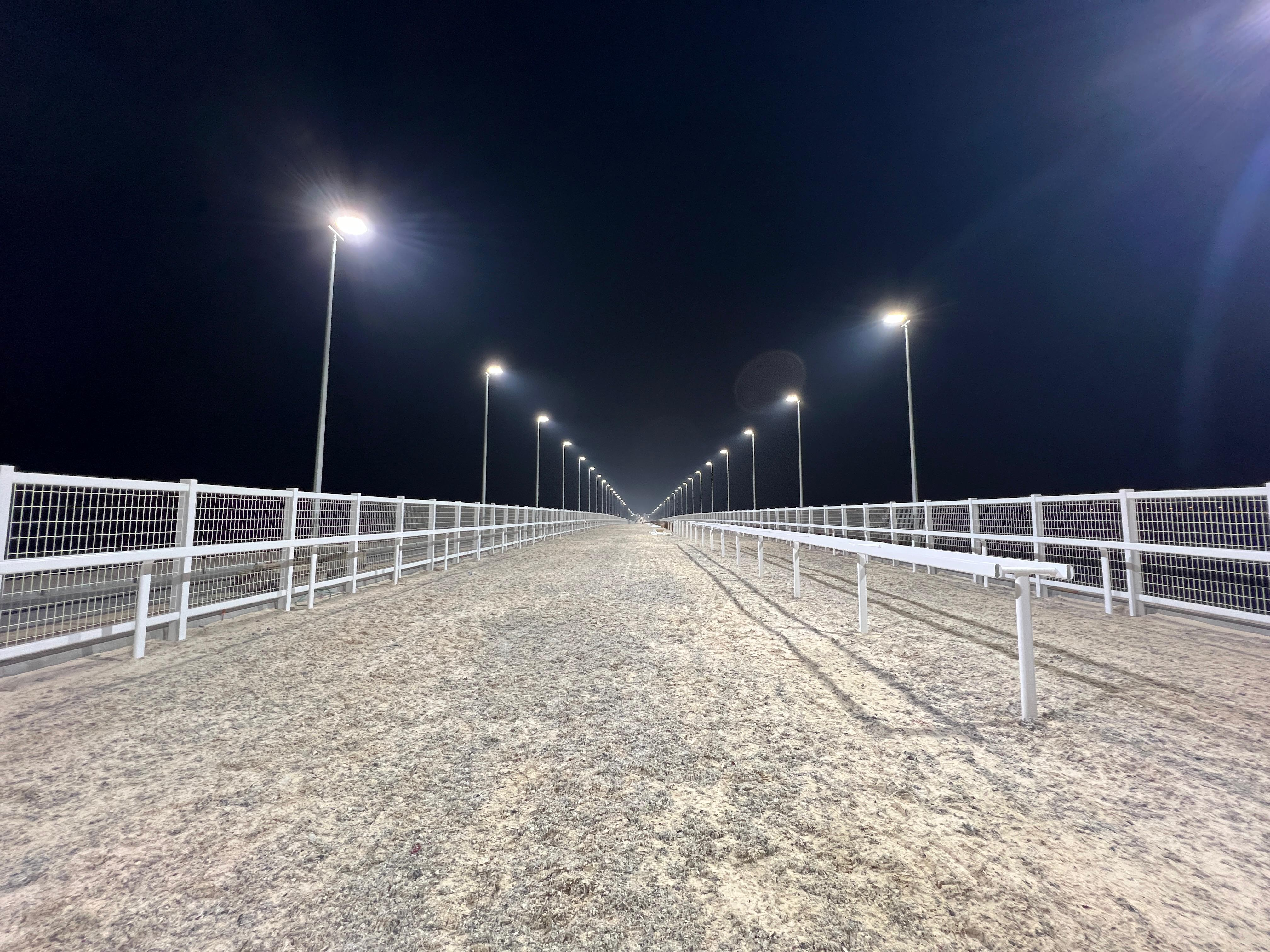 Qatar racing track field light for horse