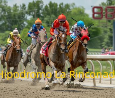 Hipodromo La Rinconada Racing track in Venezuela